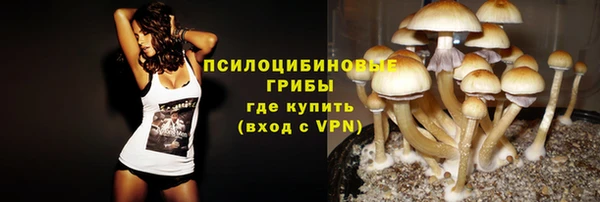 индика Аркадак