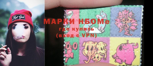 индика Аркадак