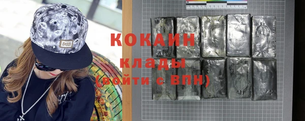 индика Аркадак