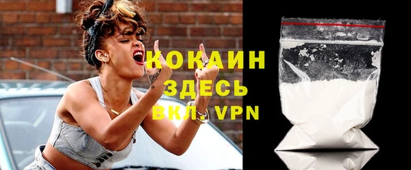 индика Аркадак